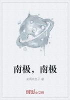 南极南极熊南极